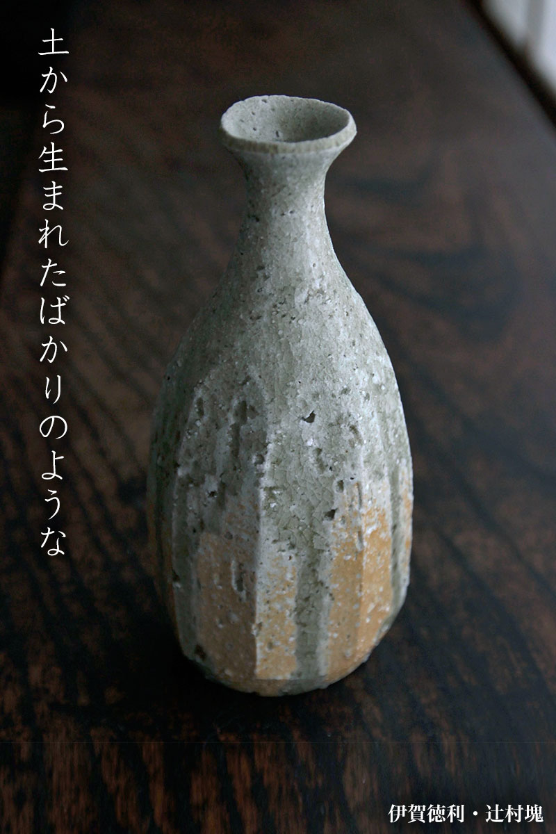 楽天市場】伊賀焼：伊賀徳利・辻村塊《酒器・徳利》 : 和食器の愉しみ