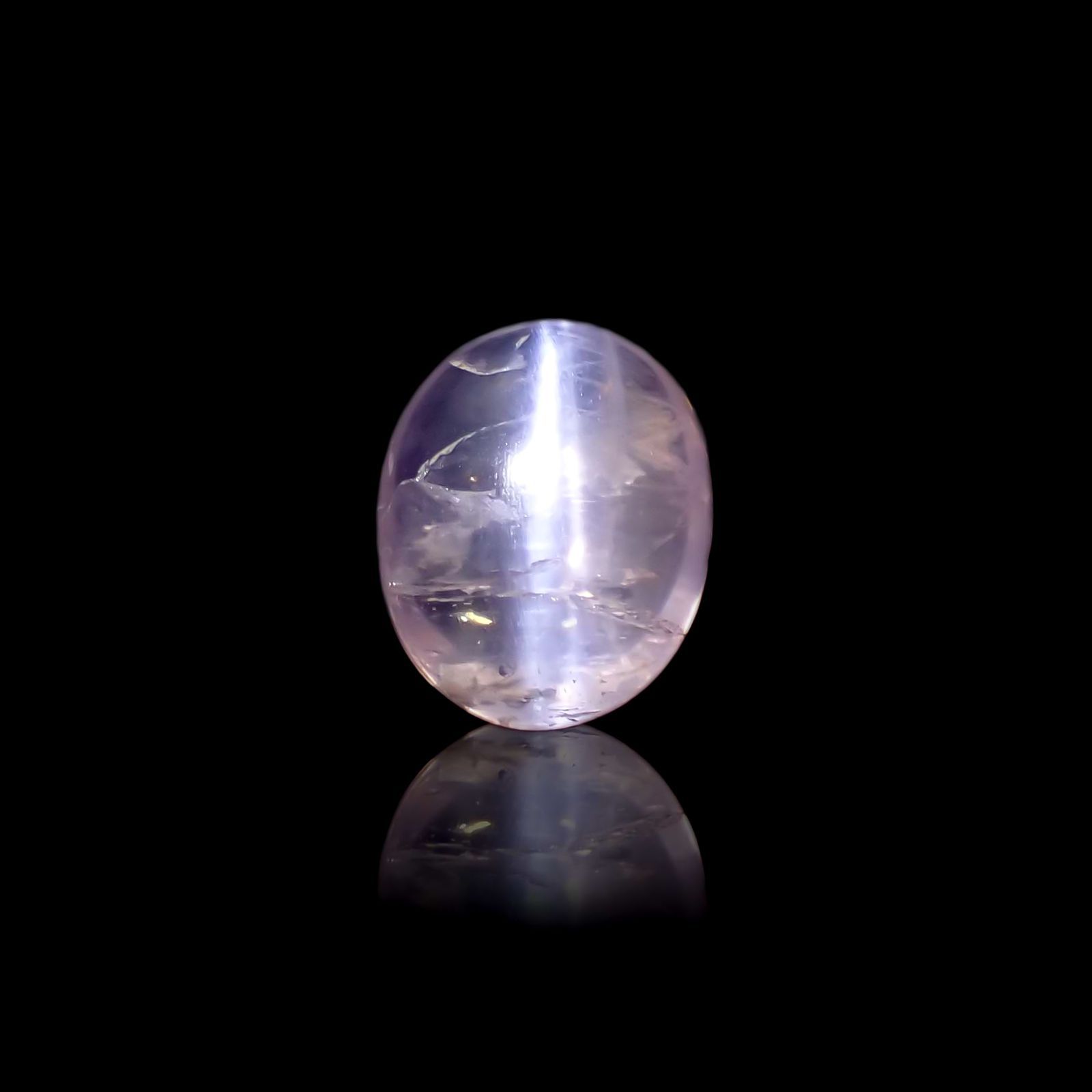 4EWG6xf32t4P.jpg?width=768