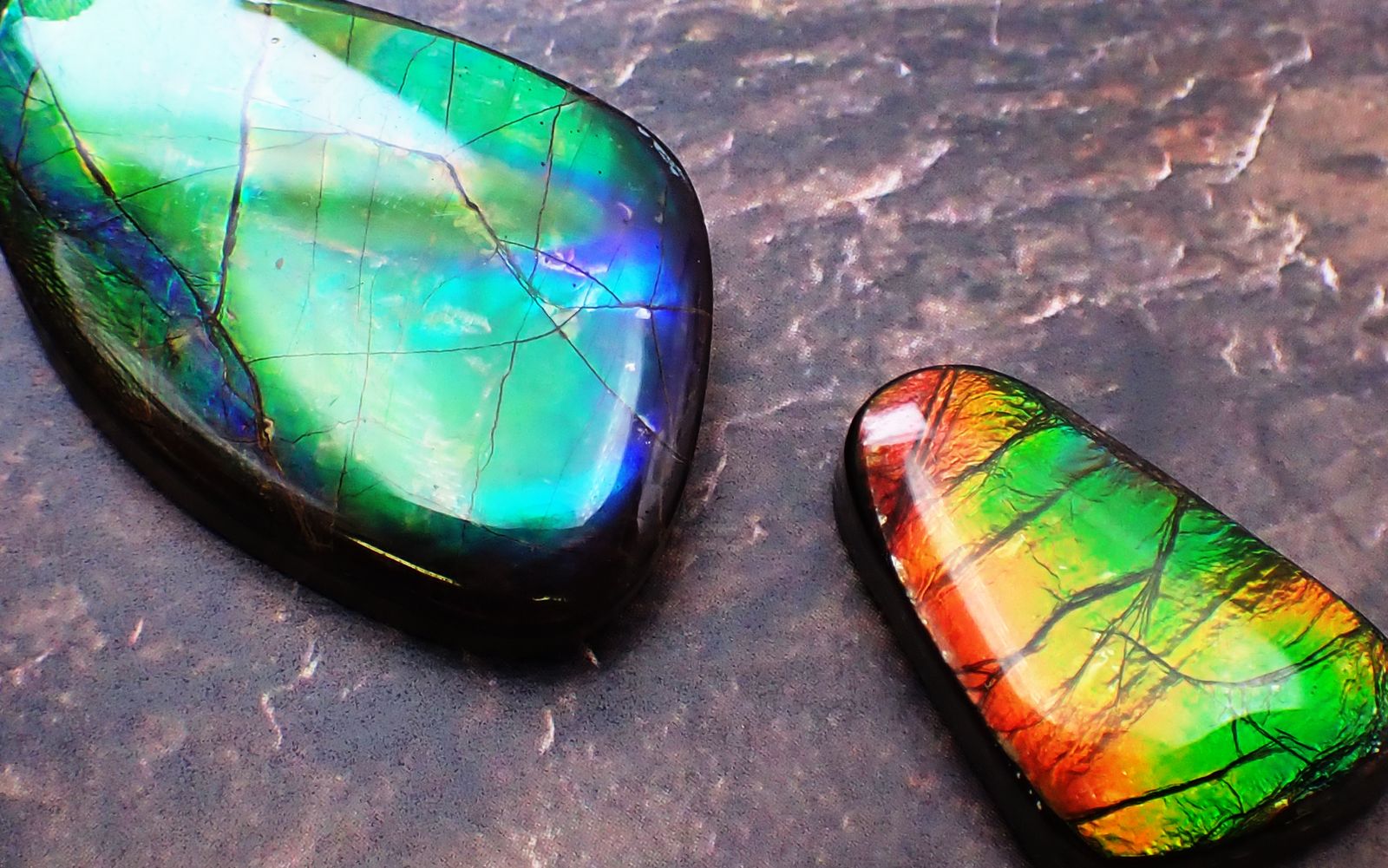 太古の海が遺した奇跡の宝石・アンモライト｜悠久の時に育まれた虹色の