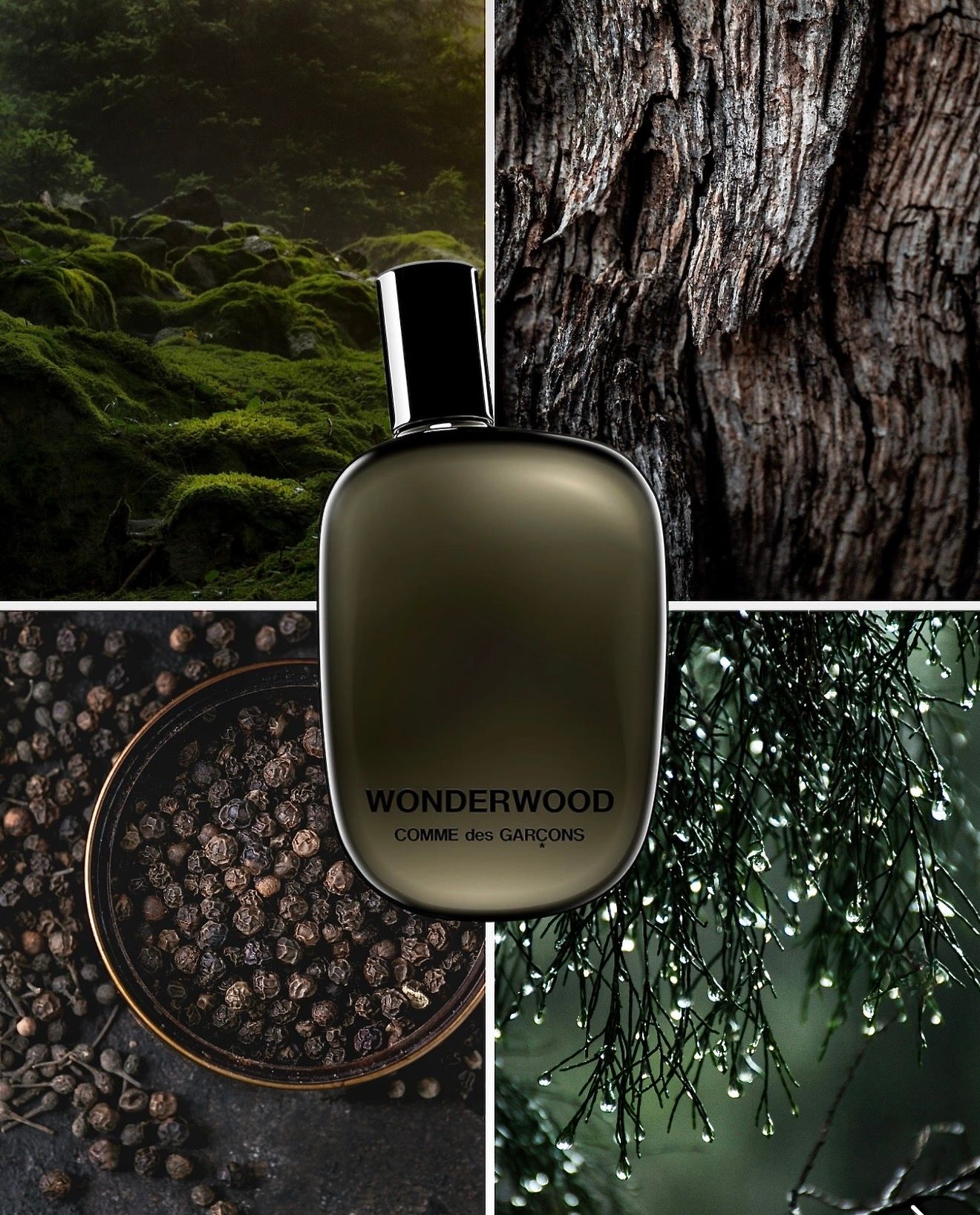 コムデギャルソン 香水 - COMME des GARCONS PARFUMS | 正規取扱店