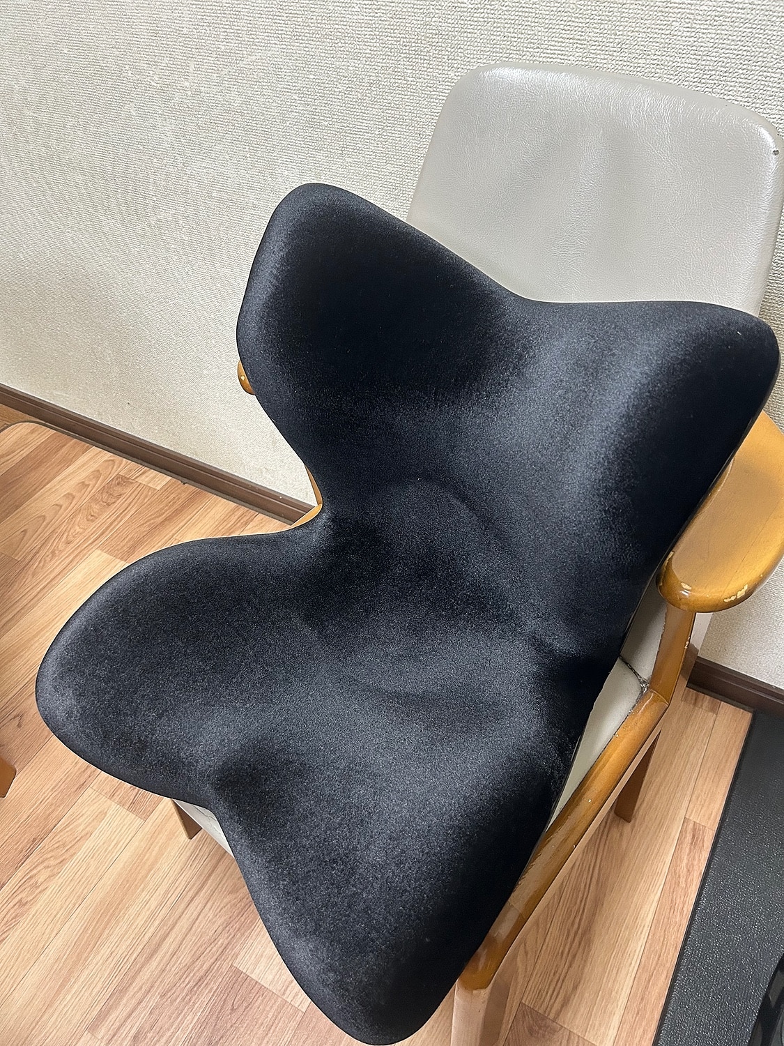 楽天市場】スタイルプレミアム デラックス Style PREMIUM DX ギフト