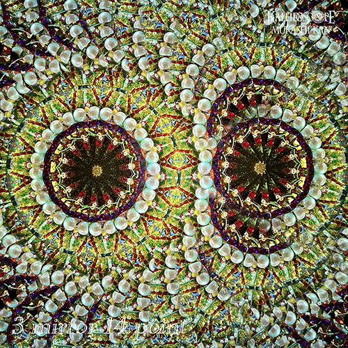 オイルチェンバースコープ]Handheld_Maple : Mark & Carole Reynolds