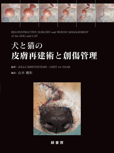 裁断済み】いざという時に役立つ! 犬と猫の骨折・脱臼の初期対応 裁断