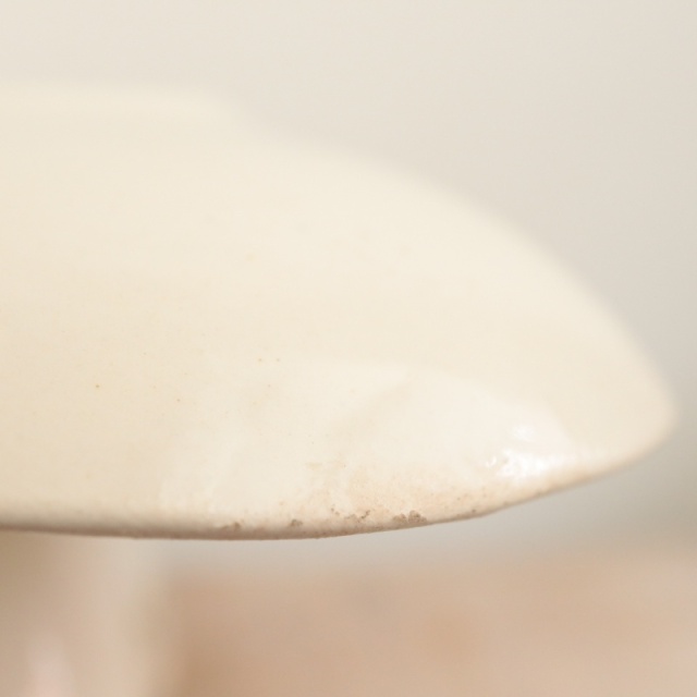 アンティーク ソーシエール Violetta フランス ロンウィー製 LONGWY