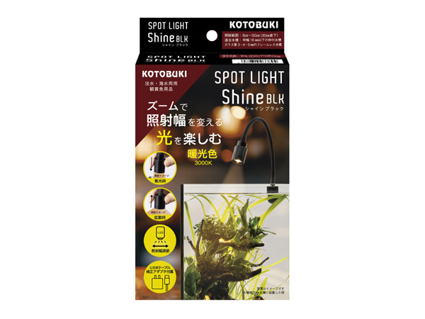 アフガナイト スキャポライト 共生 584g アフガナイト スキャポライト