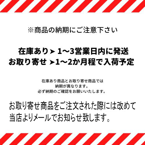 MAISON MAISSA MAJORELLE GARDEN CACTUS EDP メゾン マイッサ