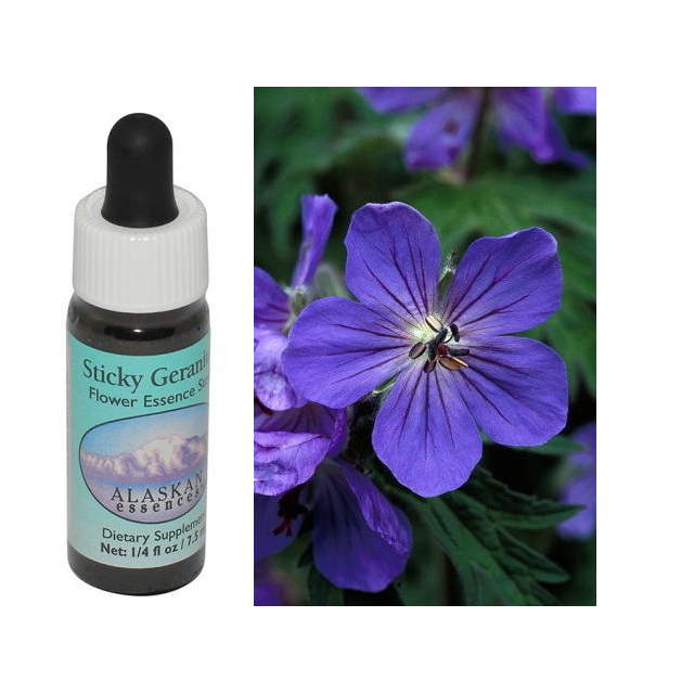 ラブラドールティー アラスカンエッセンス フラワーエッセンス 【ベル