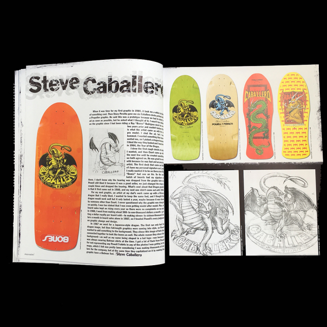 Disposable - A HISTORY of Skateboard Art（ペーパーバック）