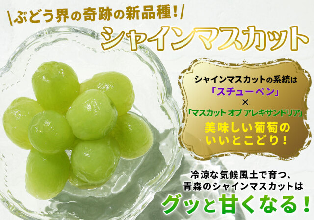 青森県産 【青森県産 ぶどう シャインマスカット 1kg前後】2－3房 家庭