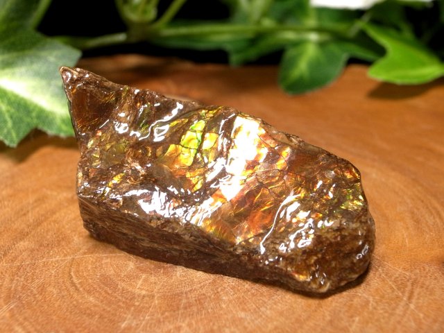 発色良好 アンモライト ドラゴンスキン 竜の鱗 原石 最大幅約39mm 重さ