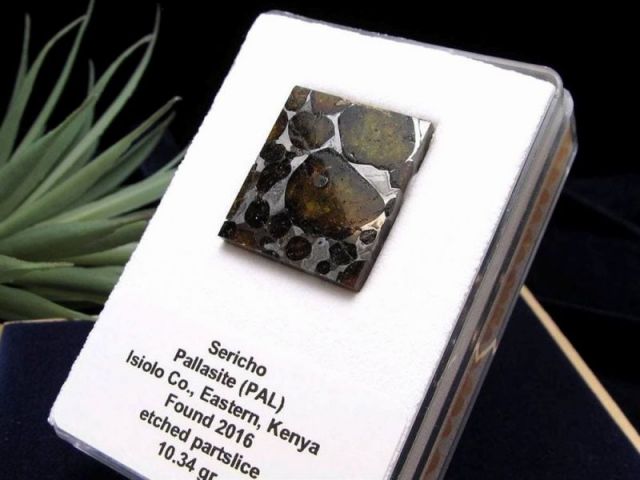 セリコ隕石 パラサイト隕石 原石 スライスプレート 最大幅約28.3mm 約