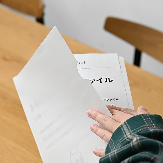 片面が半透明で見やすい【まるにゃん】クリアファイル1枚