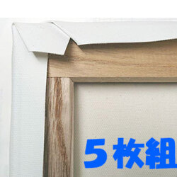 張りキャンバス（綿化繊） 中目 SM 5枚組 [油彩アクリル兼用] 額縁