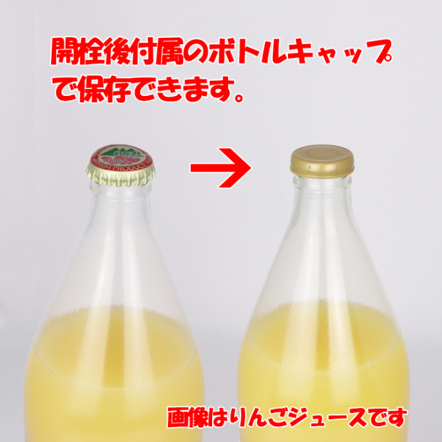 旬感搾り 林檎（リンゴ）ジュース 1000ml 清水家【埼玉県秩父市 送料別