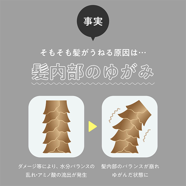 レブリシリーズ3点セット（シャンプー、トリートメント、ヘアー