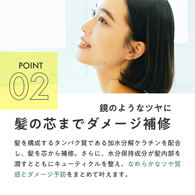 レブリシリーズ3点セット（シャンプー、トリートメント、ヘアー