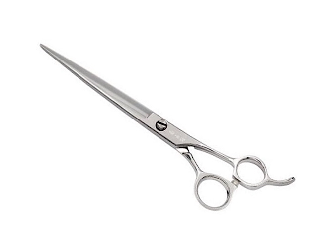 下*田様 【最終在庫】 美品 東シナ海産 蓋付き ガンセキバショウ 6点