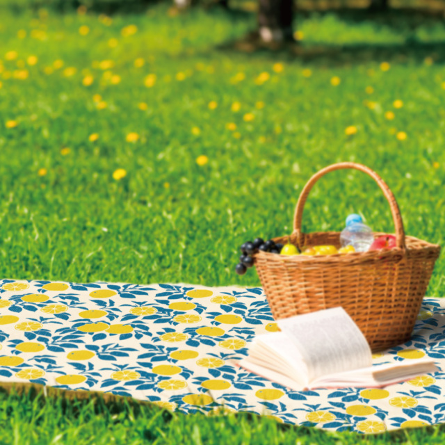 送料無料】 やまやま ／ タカヤママキコ レジャーシート Harokka