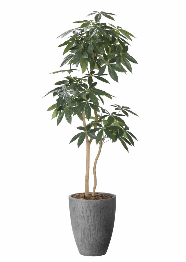 光触媒 人工観葉植物 ウォールグリーン フェイクグリーン コーヒーの木