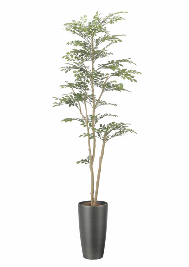 光触媒 光の楽園 オリーブ 高さ 1.6m【インテリア フェイクグリーン