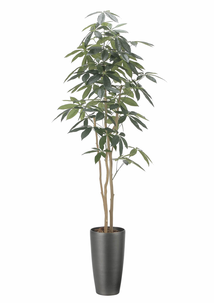 光触媒 光の楽園 スリムパキラ1.8m【インテリア フェイクグリーン 人工