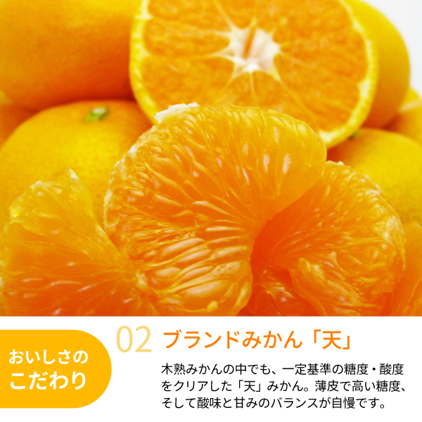 送料無料】木熟みかん「天」（S～Mサイズ） 3kg 紀州梅干し・みかんの
