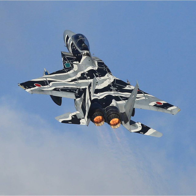 JASDソーラープロ 空自 飛行教導群モデル [S802M-02]