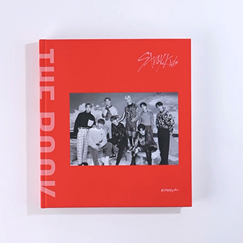 D'FESTA COMPLETE EDITION STRAY KIDS（写真集+Blu-ray）