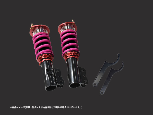 低王3030 車高調キット LEON