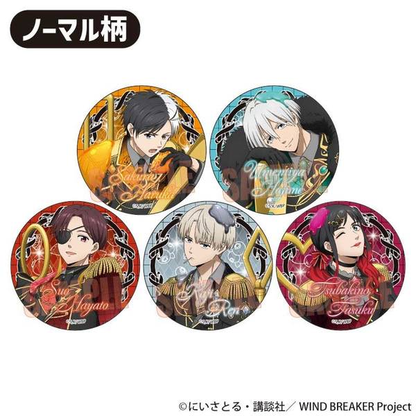 WIND BREAKER トレーディングアクリルカード ドルチェ 5個入BOX