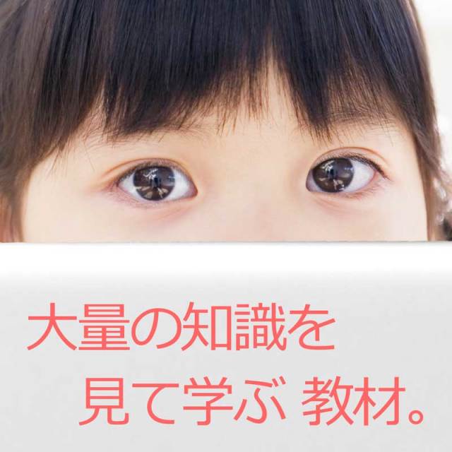 公式】ティンカーベル9巻 (星みつる式)｜5,400枚の絵カードを9枚のDVD