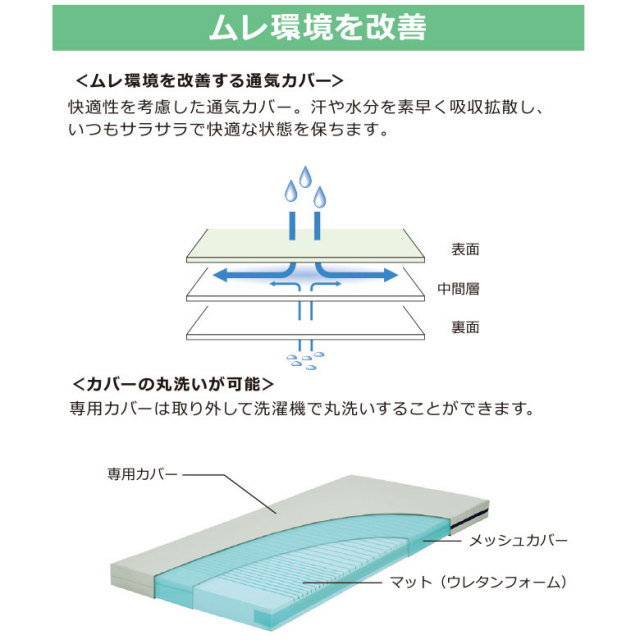 sofia_3a.jpg?t=20230310154617