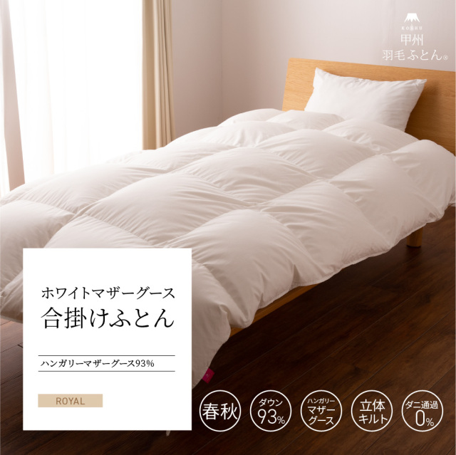 100HMG9308.jpg?t=20241111170806