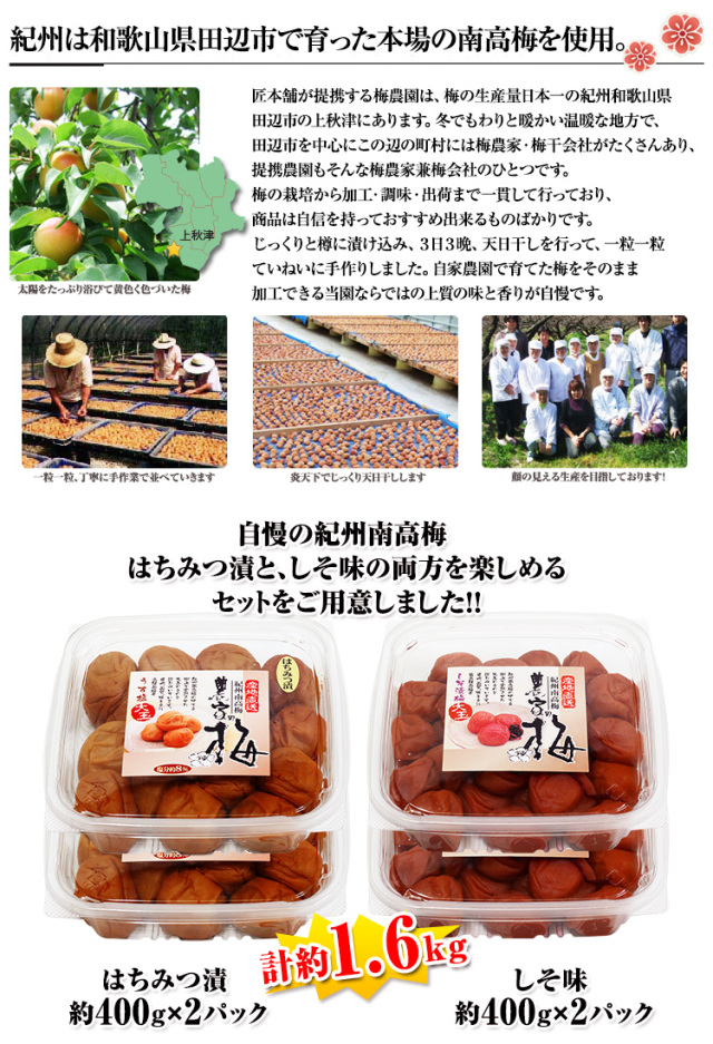 435：紀州南高梅2種セット約1.6kg