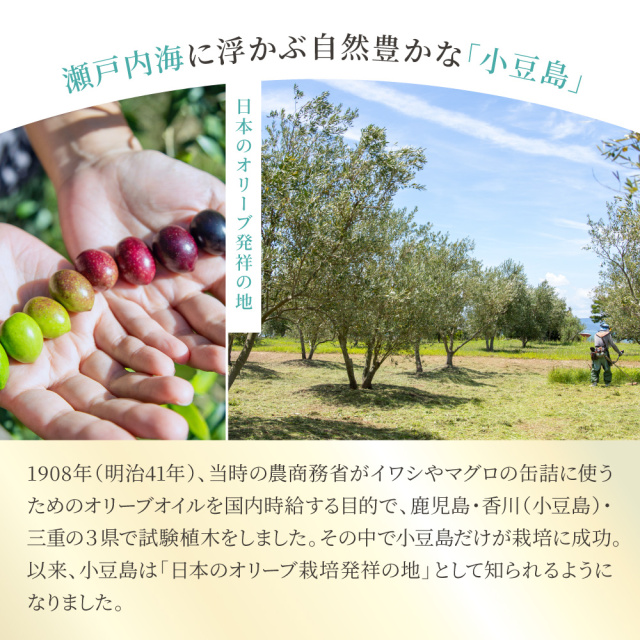 トレアエメラルド エキストラバージンオリーブオイル 40ml