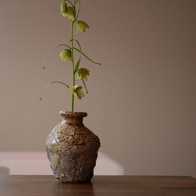 信楽蹲 作家「藤本秀」