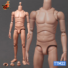 ホットトイズ】TT#22 トゥルータイプ1／6スケールフィギュア素体