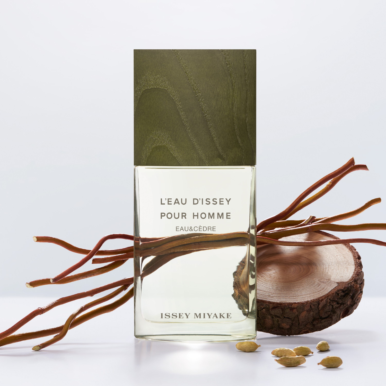 ロードゥ イッセイ プールオム オー＆シダー オードトワレ インテンス