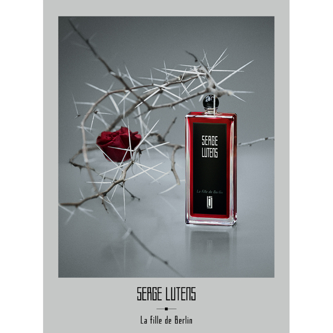 ラフィーユドゥベルラン 100mL｜香水 ・ フレグランス ・ コロン