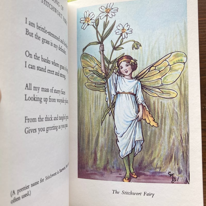 FLOWER FAIRIES OF THE SPRING／Cicely Mary Barker