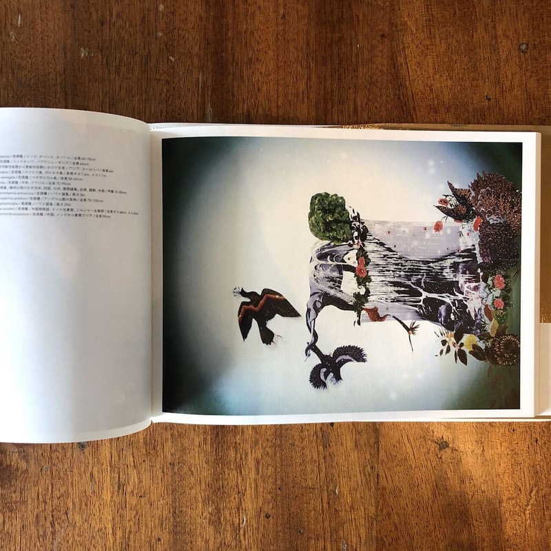 もうひとつの場所」清川あさみ | Frobergue online store