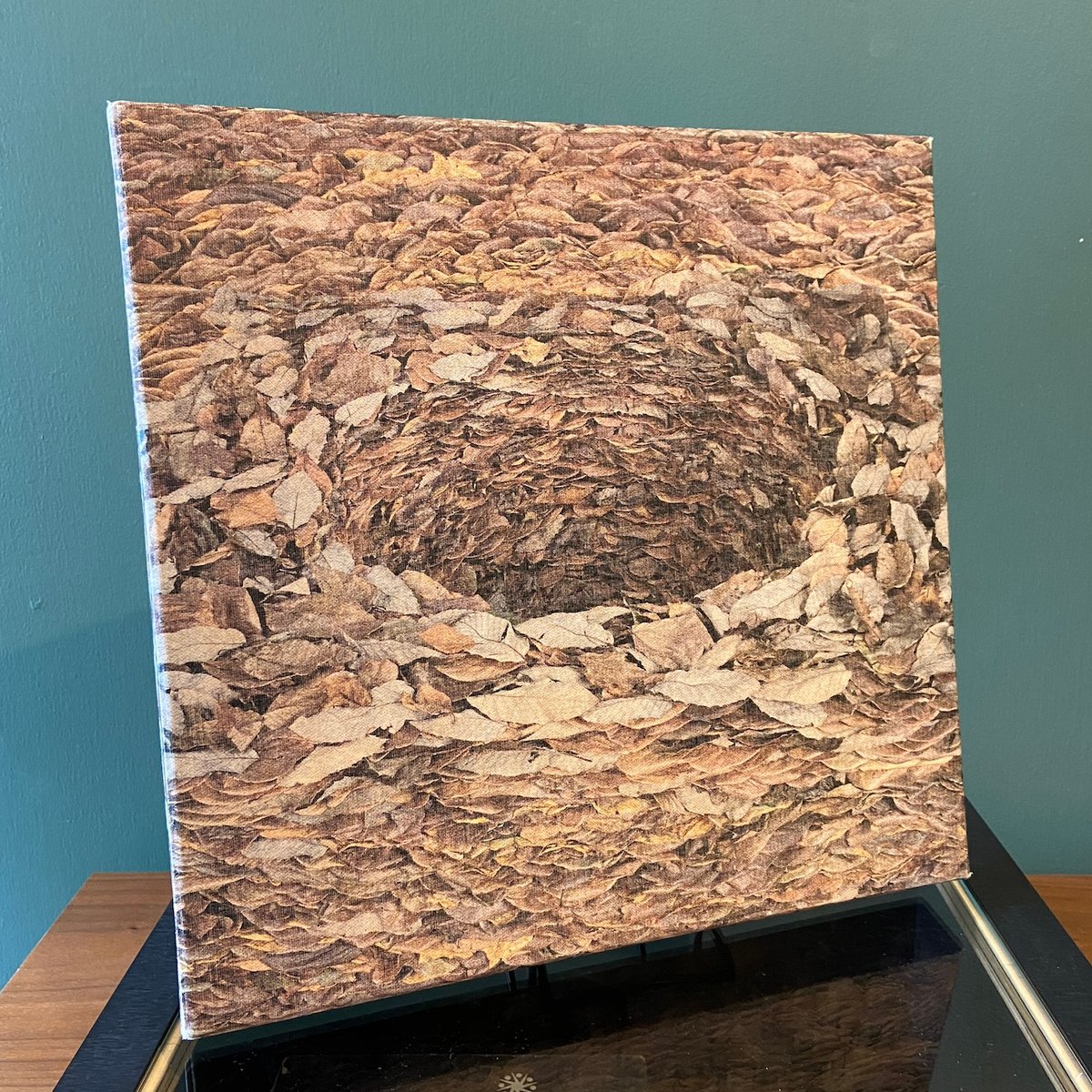 Leafing throuth Flowers」DANIEL OST | Frobergue