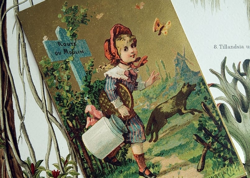 1884年フランス◇赤ずきん6種アンティーク・ビンテージカード