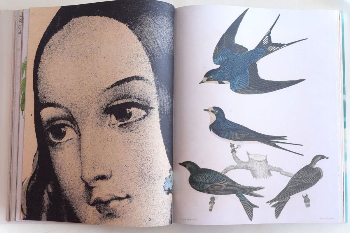 JOHN DERIAN PICTURE BOOK | 誠光社 通信販売