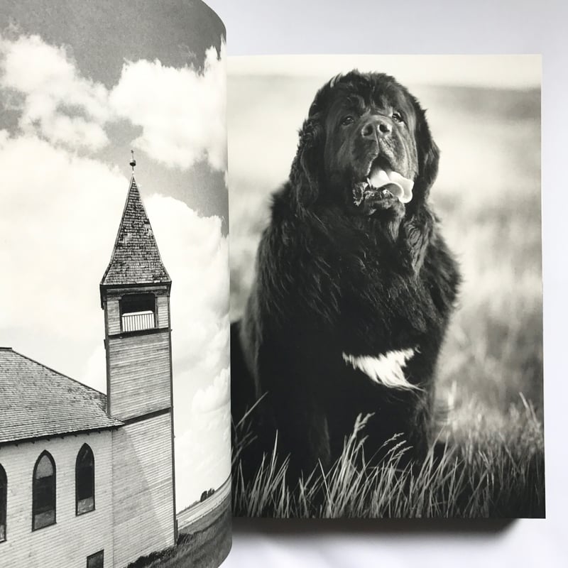 Title/Gentle Giants Author/ Bruce Weber | COWBOOKS