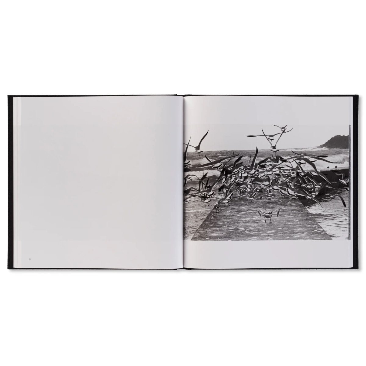 鴉（RAVENS） / 深瀬昌久 | ホホホ座浄土寺店