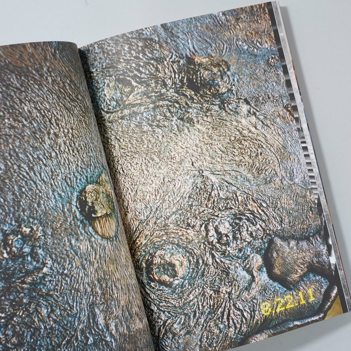 Fumes / Ari Marcopoulos(アリ・マルコポロス) | bookobscur