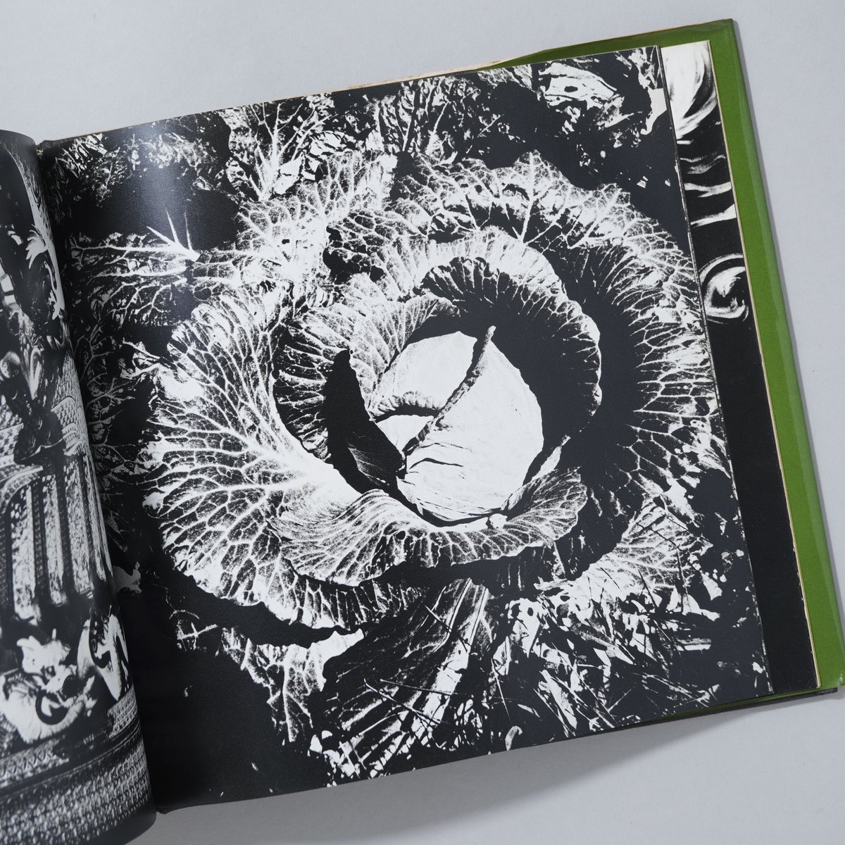 ソノラマ写真選書6 続にっぽん劇場 写真帖 Japan, a Photo Theater Ⅱ