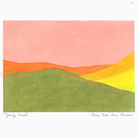 Vulfpeck / THE BEAUTIFUL GAME / CD | PICKUP ONL