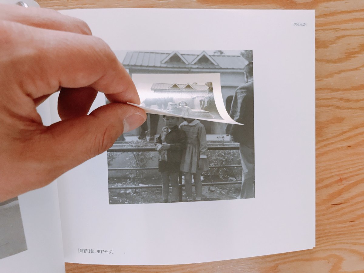 はな子のいる風景 イメージを（ひっ）くりかえす | BOOKNERD